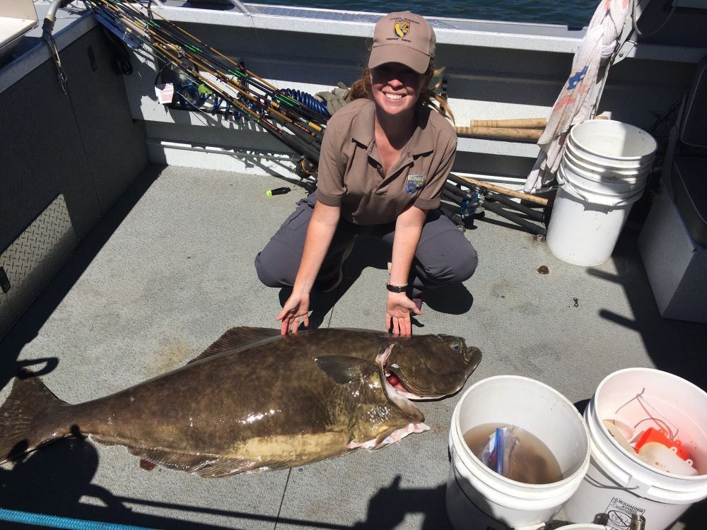 scientist with Pacific halibut on vessel